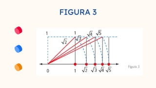FIGURA 3
 