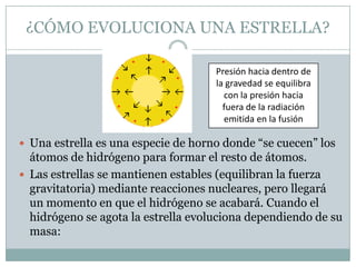 ¿CÓMO EVOLUCIONA UNA ESTRELLA?
Presión hacia dentro de
la gravedad se equilibra
con la presión hacia
fuera de la radiación
emitida en la fusión

 Una estrella es una especie de horno donde “se cuecen” los

átomos de hidrógeno para formar el resto de átomos.
 Las estrellas se mantienen estables (equilibran la fuerza
gravitatoria) mediante reacciones nucleares, pero llegará
un momento en que el hidrógeno se acabará. Cuando el
hidrógeno se agota la estrella evoluciona dependiendo de su
masa:

 