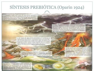 SÍNTESIS PREBIÓTICA (Oparin 1924)

 