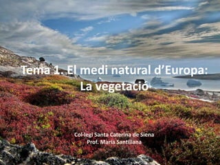 Tema 1. El medi natural d’Europa:
           La vegetació


         Col·legi Santa Caterina de Siena
              Prof. María Santillana
 