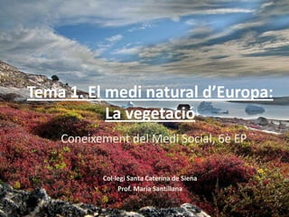 Tema 1. El medi natural d’Europa:
           La vegetació
    Coneixement del Medi Social, 6è EP

           Col·legi Santa Caterina de Siena
                Prof. María Santillana
 