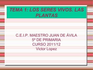 TEMA 1: LOS SERES VIVOS. LAS PLANTAS C.E.I.P. MAESTRO JUAN DE ÁVILA 5º DE PRIMARIA CURSO 2011/12 Victor Lopez 
