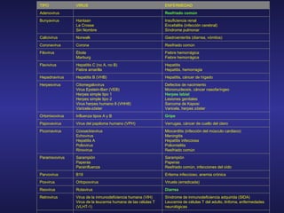 Encefalitis Rubéola, defectos de nacimiento Encefalomielitis equina del este Rubéola Togavirus Síndrome de inmunodeficiencia adquirida (SIDA) Leucemia de células T del adulto, linfoma, enfermedades neurológicas Virus de la inmunodeficiencia humana (VIH) Virus de la leucemia humana de las células T (VLHT-1) Retrovirus Diarrea Rotavirus  Reovirus Viruela (erradicada) Ortopoxvirus Poxvirus Eritema infeccioso, anemia crónica B19 Parvovirus Sarampión Paperas Resfriado común, infecciones del oído Sarampión Paperas Parainfluenza Paramixovirus Miocarditis (infección del músculo cardiaco) Meningitis Hepatitis infecciosa Poliomielitis Resfriado común Coxsackievirus Echovirus Hepatitis A Poliovirus Rinovirus Picornavirus Verrugas, cáncer de cuello del útero Virus del papiloma humano (VPH) Papovavirus Gripe Influenza tipos A y B Ortomixovirus Defectos de nacimiento Mononucleosis, cáncer nasofaríngeo Herpes labial Lesiones genitales Sarcoma de Kaposi Varicela, herpes zóster Citomegalovirus Virus Epstein-Barr (VEB) Herpes simple tipo 1 Herpes simple tipo 2  Virus herpes humano 8 (VHH8) Varicela-zóster Herpesvirus Hepatitis, cáncer de hígado Hepatitis B (VHB) Hepadnavirus Hepatitis Hepatitis, hemorragia Hepatitis C (no A, no B) Fiebre amarilla Flavivirus Fiebre hemorrágica Fiebre hemorrágica Ébola Marburg Filovirus Resfriado común Corona Coronavirus Gastroenteritis (diarrea, vómitos) Norwalk Calicivirus Insuficiencia renal Encefalitis (infección cerebral) Síndrome pulmonar Hantaan La Crosse Sin Nombre Bunyavirus Resfriado común   Adenovirus ENFERMEDAD VIRUS TIPO 