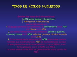 TIPOS DE ÁCIDOS NUCLEICOS  Existen dos tipos de ácidos nucleicos:  ADN (ácido desoxirribonucleico)  ARN (ácido ribonucleico),   que se diferencian en: 1 .El  azúcar  (pentosa) que contienen: la  desoxirribosa  en el  ADN  y la  ribosa  en el  ARN .  2. Las bases nitrogenadas que contienen:  adenina, guanina, citosina y timina  en el  ADN ;  adenina, guanina, citosina y uracilo  en el  ARN .  3. En los eucariotas la estructura del  ADN  es de doble cadena, mientras que la estructura del  ARN  es monocatenaria, aunque puede presentarse en forma extendida, como el ARNm, o en forma plegada, como el ARNt y el ARNr.  La masa molecular del ADN es generalmente mayor que la del ARN.  