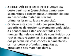  ANTIGO ZÓCOLO PALEOZOICO Aflora no
oeste peninsular (penechairas zamorano-
salmantinas e estremeñas). A erosión deixou
ao descuberto materiais siliceos
primarios(granito, lousa e cuarcita).
 O relevo esta constituído por penechairas,
superficies de erosión suavemente onduladas.
As penechairas están accidentadas por
montes illa, relevos residuais constituídos por
rochas máis resistentes. Na zona de contacto
das penechairas coas concas sedimentarias,
os ríos crean profundas gargantas ao
encaixarse nos materiais duros.
 