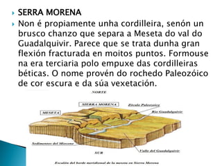  SERRA MORENA
 Non é propiamente unha cordilleira, senón un
brusco chanzo que separa a Meseta do val do
Guadalquivir. Parece que se trata dunha gran
flexión fracturada en moitos puntos. Formouse
na era terciaria polo empuxe das cordilleiras
béticas. O nome provén do rochedo Paleozóico
de cor escura e da súa vexetación.
 
