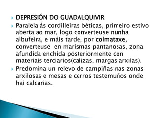  DEPRESIÓN DO GUADALQUIVIR
 Paralela ás cordilleiras béticas, primeiro estivo
aberta ao mar, logo converteuse nunha
albufeira, e máis tarde, por colmataxe,
converteuse en marismas pantanosas, zona
afundida enchida posteriormente con
materiais terciarios(calizas, margas arxilas).
 Predomina un relevo de campiñas nas zonas
arxilosas e mesas e cerros testemuños onde
hai calcarias.
 