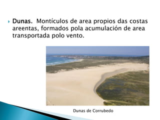  Dunas. Montículos de area propios das costas
areentas, formados pola acumulación de area
transportada polo vento.
Dunas de Corrubedo
 