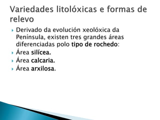  Derivado da evolución xeolóxica da
Península, existen tres grandes áreas
diferenciadas polo tipo de rochedo:
 Área silícea.
 Área calcaria.
 Área arxilosa.
 