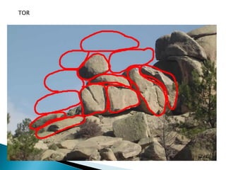 TOR
 
