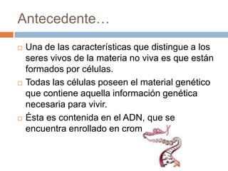 Antecedente…Una de las características que distingue a los seres vivos de la materia no viva es que están formados por células.Todas las células poseen el material genético que contiene aquella información genética necesaria para vivir.Ésta es contenida en el ADN, que se encuentra enrollado en cromosomas.