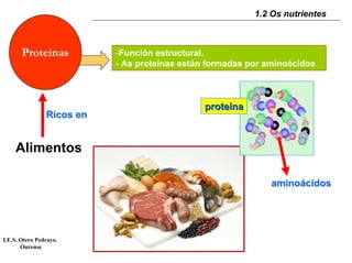 1.2 Os nutrientes



       Proteínas           -Función estructural.
                           - As proteínas están formadas por aminoácidos



                                               proteína
                Ricos en


    Alimentos

                                                              aminoácidos




I.E.S. Otero Pedrayo.
       Ourense
 