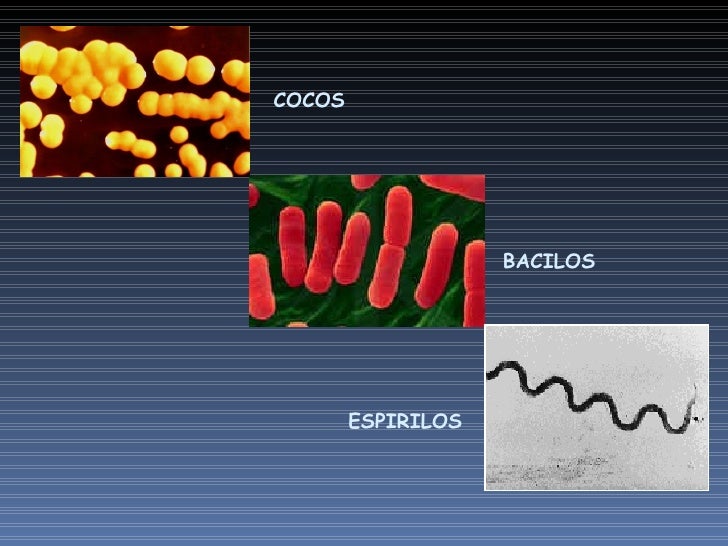 Tema 2