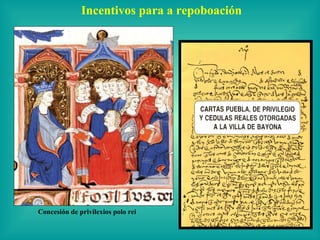 Incentivos para a repoboación




Concesión de privilexios polo rei
 