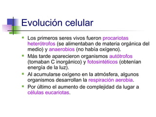 Evolución celular
   Los primeros seres vivos fueron procariotas
    heterótrofos (se alimentaban de materia orgánica del
    medio) y anaerobios (no había oxígeno).
   Más tarde aparecieron organismos autótrofos
    (tomaban C inorgánico) y fotosintéticos (obtenían
    energía de la luz).
   Al acumularse oxígeno en la atmósfera, algunos
    organismos desarrollan la respiración aerobia.
   Por último el aumento de complejidad da lugar a
    células eucariotas.
 