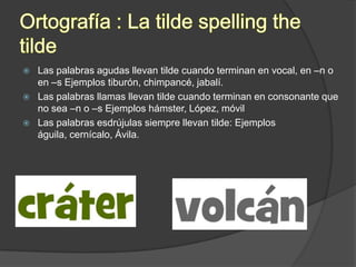    Las palabras agudas llevan tilde cuando terminan en vocal, en –n o
    en –s Ejemplos tiburón, chimpancé, jabalí.
   Las palabras llamas llevan tilde cuando terminan en consonante que
    no sea –n o –s Ejemplos hámster, López, móvil
   Las palabras esdrújulas siempre llevan tilde: Ejemplos
    águila, cernícalo, Ávila.
 
