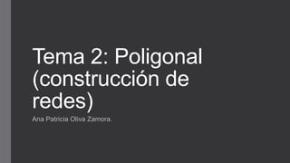 Tema 2: Poligonal
(construcción de
redes)
Ana Patricia Oliva Zamora.
 