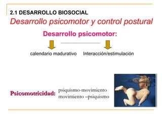 2.1 DESARROLLO BIOSOCIAL
Desarrollo psicomotor y control postural
            Desarrollo psicomotor:

       calendario madurativo   Interacción/estimulación




                 psiquismo-movimiento
Psicomotricidad: movimiento –psiquismo
 