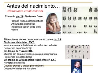 Antes del nacimiento…
  Alteraciones cromosómicas
 Trisomía par 21: Síndrome Down
      Rasgos físicos característicos
      Dificultades cognitivas
      Incidencia según edad de la
      madre


Alteraciones de los cromosomas sexuales par 23:
Síndrome Kleinfelter: XXY:
Varones sin características sexuales secundarias.
Problemas de aprendizaje
Síndrome de Turner: XO.
Mujeres sin características sexuales secundarias.
Problemas de aprendizaje
Síndrome de X frágil (falta fragmento en c.X).
Hombres o Mujeres
Cabeza grande y orejas prominentes.
Desarrollo intelectual variable
 