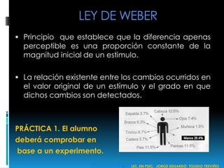 LEY DE WEBER
 Principio que establece que la diferencia apenas
perceptible es una proporción constante de la
magnitud inicial de un estimulo.
 La relación existente entre los cambios ocurridos en
el valor original de un estímulo y el grado en que
dichos cambios son detectados.
PRÁCTICA 1. El alumno
deberá comprobar en
base a un experimento.
 LIC. EN PSIC. JORGE EDUARDO TOLEDO TREVIÑO
 