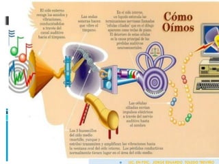  LIC. EN PSIC. JORGE EDUARDO TOLEDO TREVIÑO
 