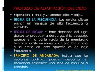 PROCESO DE ADAPTACIÓN DEL OIDO
 Exposición a tonos y volúmenes altos y bajos.
 TEORIA DE LA FRECUENCIA: Las células pilosas
envían un mensaje de alta frecuencia al
encéfalo.
 TEORIA DE LUGAR: el tono depende del lugar
donde se produce la descarga, si la descarga
sucede en la parte rígida de la membrana
basilar se emite un mensaje de alta frecuencia,
si se emite en lado opuesto es de baja
frecuencia.
 PRINCIPIO DE ANDANADA: indica que las
neuronas auditivas pueden descargar en
secuencia emitiendo una serie de impulsos al
encéfalo.
 LIC. EN PSIC. JORGE EDUARDO TOLEDO TREVIÑO
 