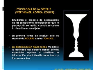 PSICOLOGIA DE LA GESTALT
(WERTHEIMER, KOFFKA, KOLLER) .
Estudiaron el proceso de organización
de las sensaciones, relacionando que la
percepción se realiza cuando se centra
la atención en un objeto.
 La primera forma de resolver esto es
separando FIGURAS contra FONDOS.
 La discriminación figura-fondo mediante
la actividad del cerebro donde células
especiales ayudan a clasificar la
información visual identificando líneas y
formas sencillas.
 LIC. EN PSIC. JORGE EDUARDO TOLEDO TREVIÑO
 