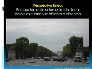 Perspectiva Lineal.
Percepción de la unión entre dos líneas
paralelas cuando se observa a distancia.
 LIC. EN PSIC. JORGE EDUARDO TOLEDO TREVIÑO
 