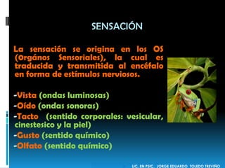 La sensación se origina en los OS
(0rgános Sensoriales), la cual es
traducida y transmitida al encéfalo
en forma de estímulos nerviosos.
-Vista (ondas luminosas)
-Oído (ondas sonoras)
-Tacto (sentido corporales: vesicular,
cinestesico y la piel)
-Gusto (sentido químico)
-Olfato (sentido químico)
SENSACIÓN
 LIC. EN PSIC. JORGE EDUARDO TOLEDO TREVIÑO
 