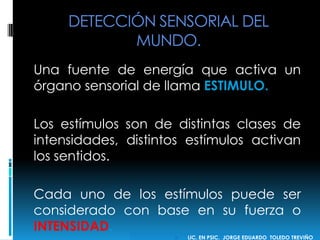 DETECCIÓN SENSORIAL DEL
MUNDO.
Una fuente de energía que activa un
órgano sensorial de llama ESTIMULO.
Los estímulos son de distintas clases de
intensidades, distintos estímulos activan
los sentidos.
Cada uno de los estímulos puede ser
considerado con base en su fuerza o
INTENSIDAD.
 LIC. EN PSIC. JORGE EDUARDO TOLEDO TREVIÑO
 