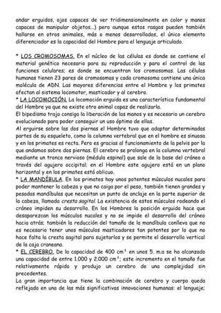 andar erguidos, ojos capaces de ver tridimensionalmente en color y manos
capaces de manipular objetos...) pero aunque estos rasgos pueden también
hallarse en otros animales, más o menos desarrollados, el único elemento
diferenciador es la capacidad del Hombre para el lenguaje articulado.
* LOS CROMOSOMAS. En el núcleo de las células es donde se contiene el
material genético necesario para su reproducción y para el control de las
funciones celulares; es donde se encuentran los cromosomas. Las células
humanas tienen 23 pares de cromosomas y cada cromosoma contiene una única
molécula de ADN. Las mayores diferencias entre el Hombre y los primates
afectan al sistema locomotor, masticador y al cerebro.
* LA LOCOMOCIÓN. La locomoción erguida es una característica fundamental
del Hombre ya que no existe otro animal capaz de realizarla.
El bipedismo trajo consigo la liberación de las manos y es necesario un cerebro
evolucionado para poder conseguir un uso óptimo de ellas.
Al erguirse sobre las dos piernas el Hombre tuvo que adaptar determinadas
partes de su esqueleto, como la columna vertebral que en el hombre es sinuosa
y en los primates es recta. Pero es gracias al funcionamiento de la pelvis por la
que andamos sobre dos piernas. El cerebro se prolonga en la columna vertebral
mediante un tronco nervioso (médula espinal) que sale de la base del cráneo a
través del agujero occipital; en el Hombre este agujero está en un plano
horizontal y en los primates está oblicuo.
* LA MANDÍBULA. En los primates hay unos potentes músculos nucales para
poder mantener la cabeza y que no caiga por el peso, también tienen grandes y
pesadas mandíbulas que necesitan un punto de anclaje en la parte superior de
la cabeza, llamada cresta sagital. La existencia de estos músculos rodeando el
cráneo impiden su desarrollo. En los Hombres la posición erguida hace que
desaparezcan los músculos nucales y no se impide el desarrollo del cráneo
hacia atrás; también la reducción del tamaño de la mandíbula conlleva que no
es necesario tener unos músculos masticadores tan potentes por lo que no
hace falta la cresta sagital para sujetarlos y se permite el desarrollo vertical
de la caja craneana.
* EL CEREBRO. De la capacidad de 400 cm³ en unos 5. m.a se ha alcanzado
una capacidad de entre 1.000 y 2.000 cm³; este incremento en el tamaño fue
relativamente rápido y produjo un cerebro de una complejidad sin
precedentes.
La gran importancia que tiene la combinación de cerebro y cuerpo queda
reflejada en una de las más significativas innovaciones humanas: el lenguaje;
 