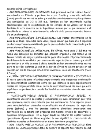 son más duros los vegetales.
- AUSTRALOPITHECUS AFARENSIS. Los primeros restos fósiles fueron
encontrados en Etiopía; y pertenecían a una familia y a un sólo individuo
(Lucy); por dichos restos se sabe que andaba completamente erguido y tienen
una antigüedad de 3,3 a 2,5 m.a. También se han encontrado huellas
(sedimentadas por la solidificación de las cenizas de un volcán) por lo que
también da otra muestra de su bipedismo; aunque por lo que sabemos y el
tamaño de su cráneo no estarían mucho más allá de lo que se encuentra hoy en
día en un chimpancé.
- AUSTRALOPITHECUS BAHRELGHAZALI. Los restos encontrados en la
zona de el Chad, conocidos como Abel, hacen pensar que hubo 2 ó 3 especies
de Australopithecus coexistiendo, por lo que se deshecha la creencia de que la
evolución va en línea recta.
- AUSTRALOPITHECUS AFRICANUS. En África, hace unos 3-2,5 m.a. ya
había una población de primates que andaban erguidos y sus manos ya no
tenían función de apoyo y podían usarse para otras cosas. El primer homínido
fósil descubierto en África pertenece a esta especie (fue un cráneo que debió
pertenecer a un niño de unos 6 años), también se han encontrado otros restos
pero no es fácil datarlos ya que en el sur de África no existe potasio en las
cuevas; aun así se cree que estos seres vivieron al inicio del Pleistoceno (hace
2,5 m.a.)
- AUSTRALOPITHECUS AETHIOPICUS O PARANTHROPUS AETHIOPICUS.
El resto conocido como el cráneo negro contenía una inesperada combinación
de características anatómicas entre las que destaca la cara especialmente
maciza sin ningún paralelo con el resto de australopithecus. Se cree que este
espécimen no pertenecía a uno de los homínidos conocidos, sino de una rama
paralela.
- AUSTRALOPITHECUS BOISEI O PARANTHROPUS BOISEI. Al
encontrarse una serie de restos y compararlos se pudo comprobar que tenía
una apariencia mucho más robusta que sus antecesores. Esta especie posee
unas características craneales especializadas en el consumo de vegetales
duros (sabana) y que los grandes cambios climáticos provocaran una
sustitución de la sabana por praderas que hiciera inviable su desarrollo y
acabaran extinguiéndose. En el lugar donde se hallaron los restos también
aparecieron algunos de Homo ergaster lo que significó la coexistencia de
distintas especies de homínidos en un mismo territorio geográfico.
- AUSTRALOPITHECUS ROBUSTUS O PARANTHROPUS ROBUSTUS. Esta
especie del Australopithecus debe su nombre al aspecto tan robusto de sus
 