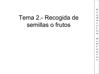 Tema 2.- Recogida de
semillas o frutos

P
r
o
d
u
c
c
i
ó
n
d
e
P
l
a
n
t
a
s

 