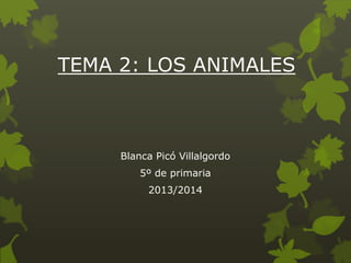 TEMA 2: LOS ANIMALES

Blanca Picó Villalgordo
5º de primaria
2013/2014

 