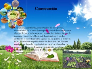 Conservación

Conservación ambiental, conservación de las especies,
conservación de la naturaleza o protección de la naturaleza son
algunos de los nombres que se conocen las distintas formas de
proteger y preservar el futuro de la naturaleza, el medio
ambiente, o específicamente algunas de sus partes: la flora y la
fauna, las distintas especies como los humanos, los distintos
ecosistemas, los valores paisajísticos, etc. Con el nombre de
conservacionismo se designa al movimiento social que
propugna esa conservación. Una de sus vertientes es el
movimiento ecologista.

 