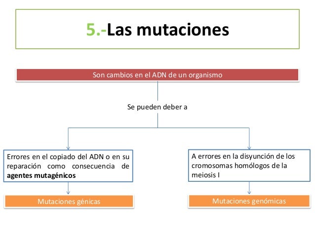 Síndrome duplo Y
Son altos, bajo coeficiente
intelectual, tendencia a la
agresividad y comportamiento
antisocial
 