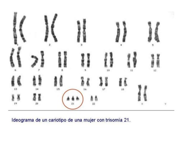 Virus2
ADN recombinante
 