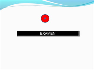 P 
EEXXAAMMEENN 

