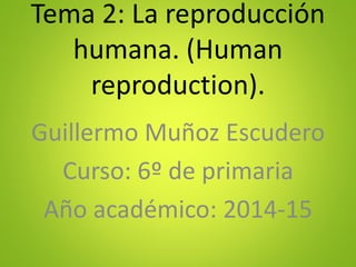 Tema 2: La reproducción 
humana. (Human 
reproduction). 
Guillermo Muñoz Escudero 
Curso: 6º de primaria 
Año académico: 2014-15 
 