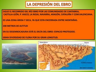 SIGUE EL RECORRIDO DEL RÍO EBRO POR LAS COMUNIDADES DE CANTABRIA, 
CASTILLA-LEÓN, P. VASCO, LA RIOJA, NAVARRA, ARAGÓN, CATALUÑA Y COM.VALENCIANA. 
ES UNA ZONA ÁRIDA Y SECA, YA QUE ESTA ENCERRADA ENTRE MONTAÑAS. 
200 METROS DE ALTITUD 
EN SU DESEMBOCADURA ESTÁ EL DELTA DEL EBRO: ESPACIO PROTEGIDO. 
GRAN DIVERSIDAD DE FLORA POR SU GRAN LONGITUD. 
 