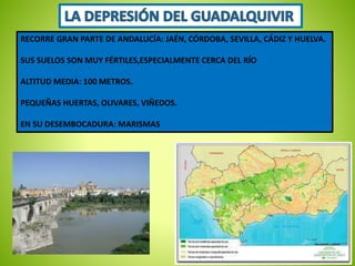 RECORRE GRAN PARTE DE ANDALUCÍA: JAÉN, CÓRDOBA, SEVILLA, CÁDIZ Y HUELVA. 
SUS SUELOS SON MUY FÉRTILES,ESPECIALMENTE CERCA DEL RÍO 
ALTITUD MEDIA: 100 METROS. 
PEQUEÑAS HUERTAS, OLIVARES, VIÑEDOS. 
EN SU DESEMBOCADURA: MARISMAS 
 