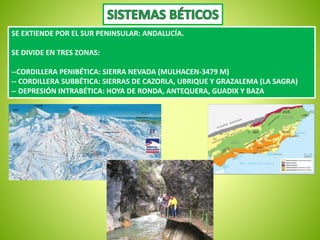 SE EXTIENDE POR EL SUR PENINSULAR: ANDALUCÍA. 
SE DIVIDE EN TRES ZONAS: 
--CORDILLERA PENIBÉTICA: SIERRA NEVADA (MULHACEN-3479 M) 
-- CORDILLERA SUBBÉTICA: SIERRAS DE CAZORLA, UBRIQUE Y GRAZALEMA (LA SAGRA) 
-- DEPRESIÓN INTRABÉTICA: HOYA DE RONDA, ANTEQUERA, GUADIX Y BAZA 
 