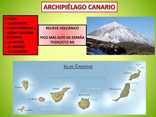 7 ISLAS: 
-- LANZAROTE 
-- FUERTEVENTURA 
-- GRAN CANARIA 
--TENERIFE 
-- LA PALMA 
-- EL HIERRO 
-- LA GOMERA 
RELIEVE VOLCÁNICO 
PICO MÁS ALTO DE ESPAÑA 
TEIDE(3715 M) 
 