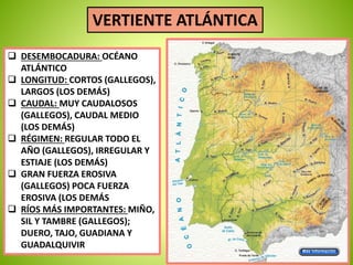 VERTIENTE ATLÁNTICA 
 DESEMBOCADURA: OCÉANO 
ATLÁNTICO 
 LONGITUD: CORTOS (GALLEGOS), 
LARGOS (LOS DEMÁS) 
 CAUDAL: MUY CAUDALOSOS 
(GALLEGOS), CAUDAL MEDIO 
(LOS DEMÁS) 
 RÉGIMEN: REGULAR TODO EL 
AÑO (GALLEGOS), IRREGULAR Y 
ESTIAJE (LOS DEMÁS) 
 GRAN FUERZA EROSIVA 
(GALLEGOS) POCA FUERZA 
EROSIVA (LOS DEMÁS 
 RÍOS MÁS IMPORTANTES: MIÑO, 
SIL Y TAMBRE (GALLEGOS); 
DUERO, TAJO, GUADIANA Y 
GUADALQUIVIR 
 