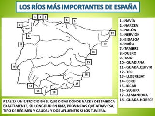 1 2 3 
1.- NAVÍA 
2.- NARCEA 
3.- NALÓN 
4.- NERVIÓN 
5.- BIDASOA 
6.- MIÑO 
7.- TAMBRE 
8.- DUERO 
9.- TAJO 
10.- GUADIANA 
11.- GUADALQUIVIR 
12.- TER 
13.- LLOBREGAT 
14.- EBRO 
15.-JÚCAR 
16.- SEGURA 
17.- ALMANZORA 
18.- GUADALHORECE 
4 5 
7 
6 
11 
10 
9 
8 13 
12 
14 
18 
17 
15 
16 
REALIZA UN EJERCICIO EN EL QUE DIGAS DÓNDE NACE Y DESEMBOCA 
EXACTAMENTE, SU LONGITUD EN KM2, PROVINCIAS QUE ATRAVIESA, 
TIPO DE RÉGIMEN Y CAUDAL Y DOS AFLUENTES SI LOS TUVIERA. 
 