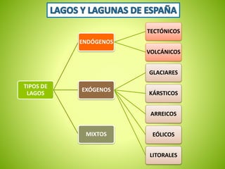 TIPOS DE 
LAGOS 
ENDÓGENOS 
TECTÓNICOS 
VOLCÁNICOS 
EXÓGENOS 
GLACIARES 
KÁRSTICOS 
ARREICOS 
EÓLICOS 
LITORALES 
MIXTOS 
 