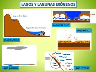 LAGO GLACIAR 
LAGO KÁRSTICO 
LAGO EÓLICO 
LAGO ARREICO LAGO LITORAL 
 