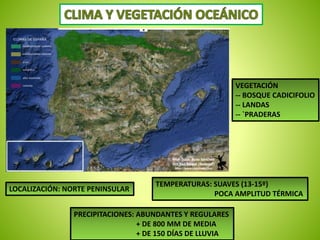 LOCALIZACIÓN: NORTE PENINSULAR 
TEMPERATURAS: SUAVES (13-15º) 
POCA AMPLITUD TÉRMICA 
PRECIPITACIONES: ABUNDANTES Y REGULARES 
+ DE 800 MM DE MEDIA 
+ DE 150 DÍAS DE LLUVIA 
VEGETACIÓN 
-- BOSQUE CADICIFOLIO 
-- LANDAS 
-- `PRADERAS 
 