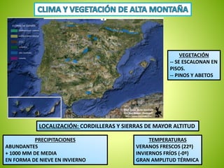 VEGETACIÓN 
-- SE ESCALONAN EN 
PISOS. 
-- PINOS Y ABETOS 
LOCALIZACIÓN: CORDILLERAS Y SIERRAS DE MAYOR ALTITUD 
PRECIPITACIONES 
ABUNDANTES 
+ 1000 MM DE MEDIA 
EN FORMA DE NIEVE EN INVIERNO 
TEMPERATURAS 
VERANOS FRESCOS (22º) 
INVIERNOS FRÍOS (-0º) 
GRAN AMPLITUD TÉRMICA 
 