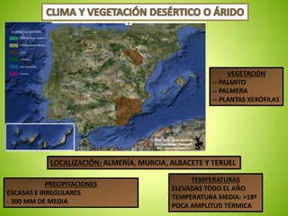 VEGETACIÓN 
-- PALMITO 
-- PALMERA 
-- PLANTAS XERÓFILAS 
LOCALIZACIÓN: ALMERÍA, MURCIA, ALBACETE Y TERUEL 
PRECIPITACIONES 
ESCASAS E IRREGULARES 
- 300 MM DE MEDIA 
TEMPERATURAS 
ELEVADAS TODO EL AÑO 
TEMPERATURA MEDIA: +18º 
POCA AMPLITUD TÉRMICA 
 